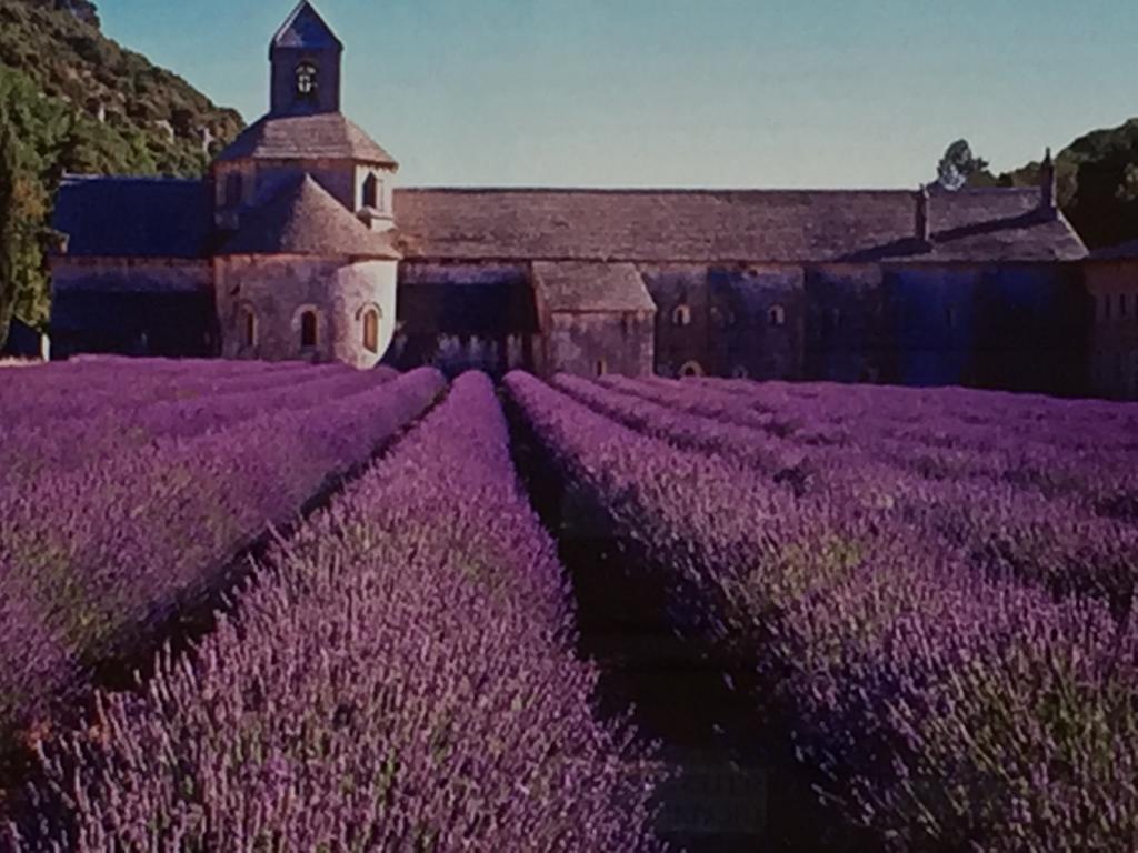 Maison Jean Chapelle อาวีญง ภายนอก รูปภาพ